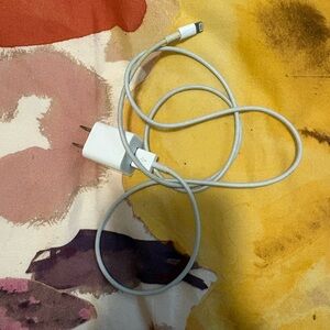 Apple White Lightning Charging Cable with USB Power Adapter